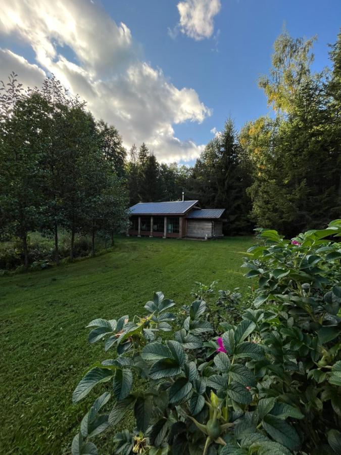 Oanduaia Metsamaja Apartamento